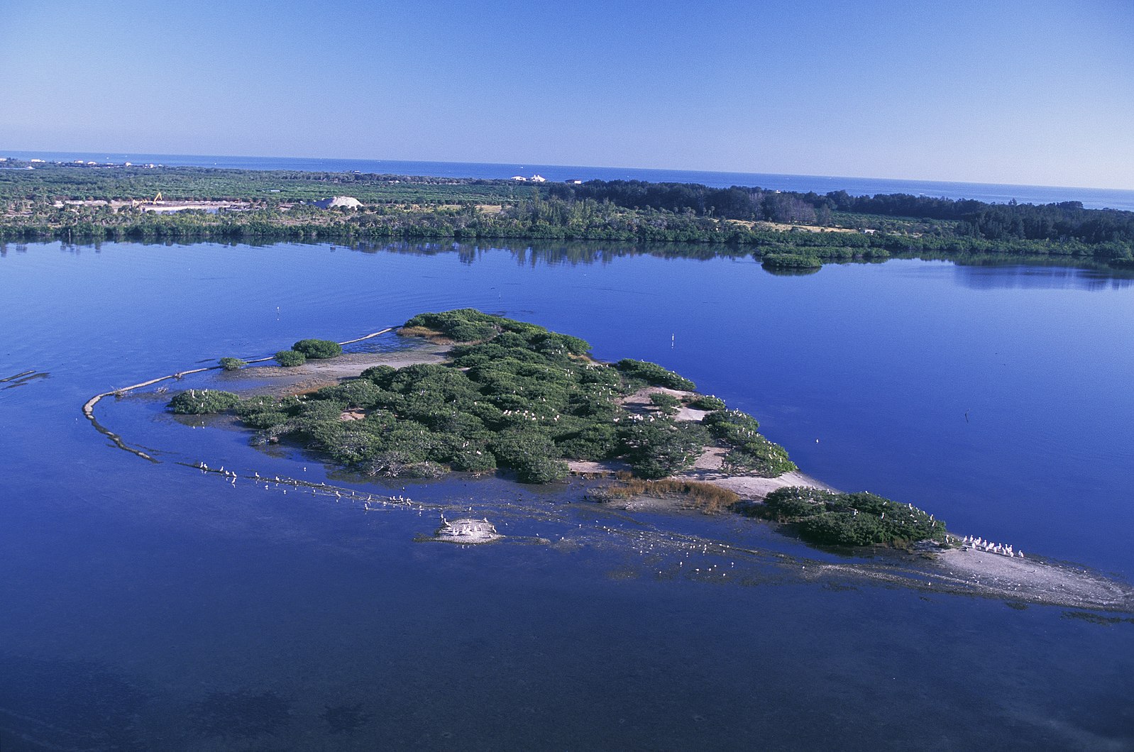 march-14-first-national-wildlife-refuge-created-1903-today-in