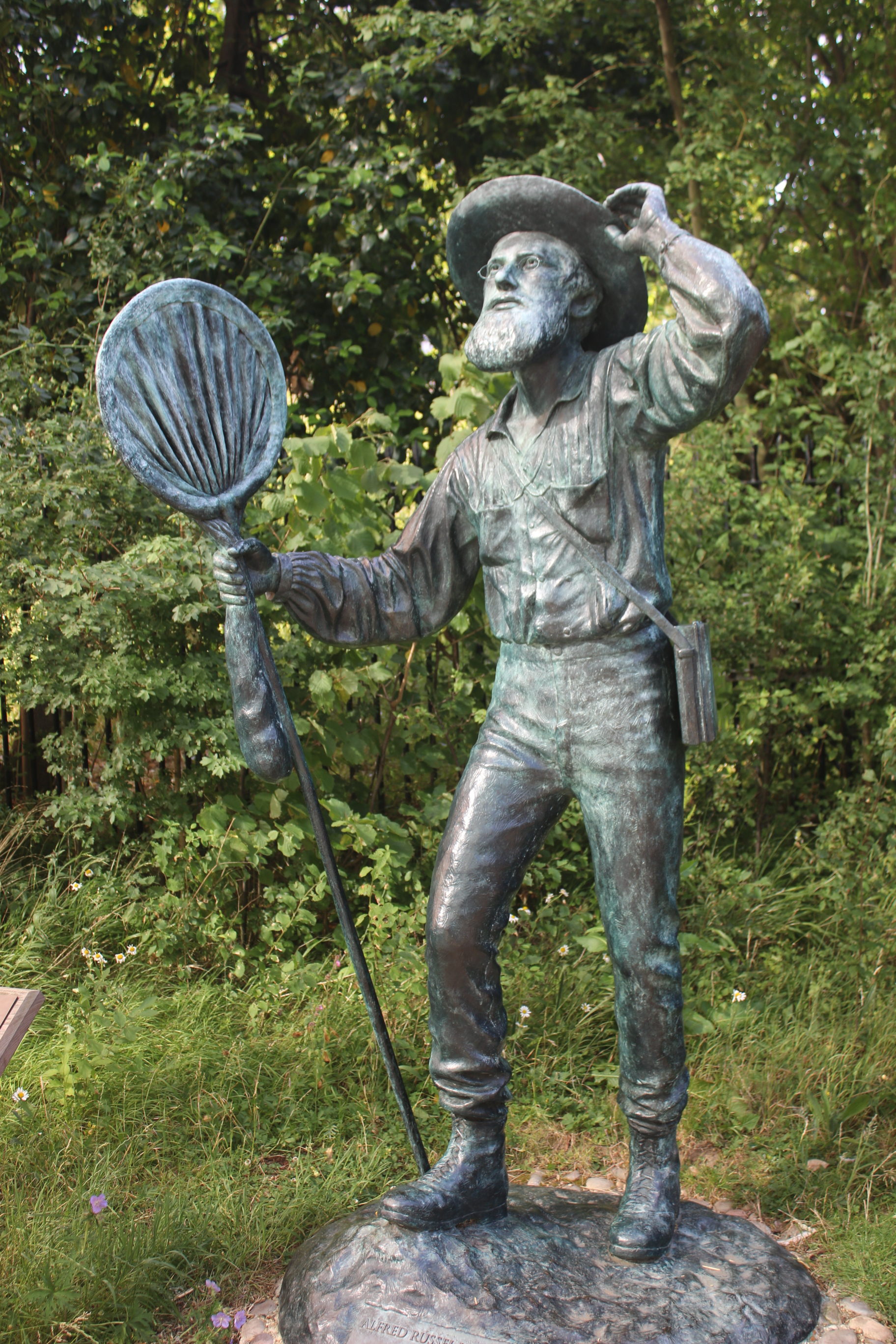 alfred russel wallace meuseums