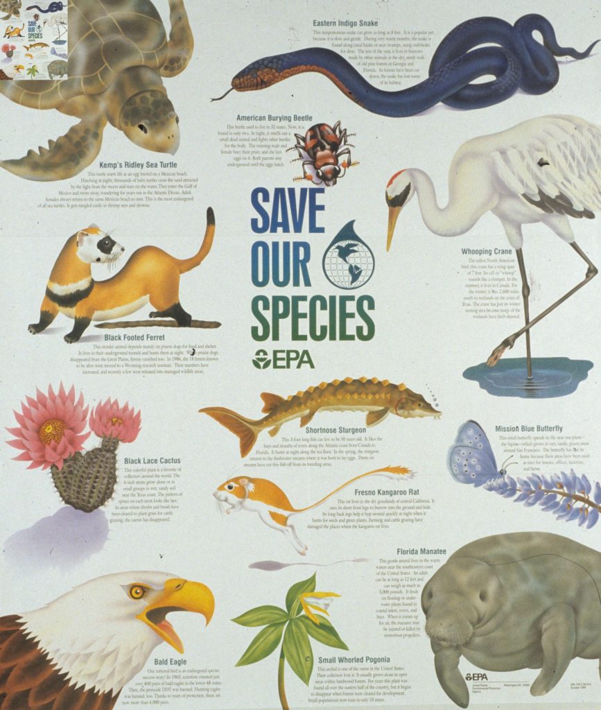 Endangered Species Act Esa Logo